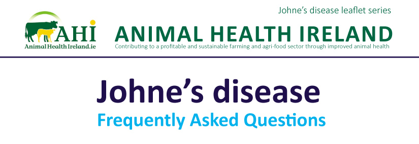 Johne's Disease FAQs (Dairy Cattle) from AHI - DRL
