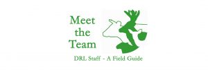 DRL staff - Meet the team
