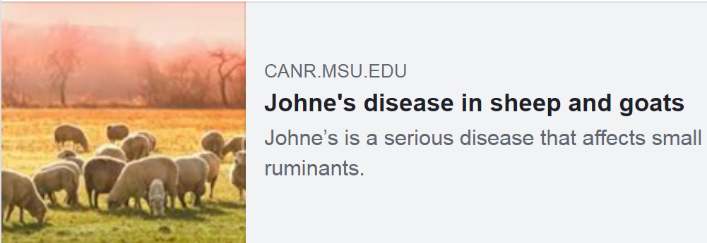 Johne's disease in sheep and goats