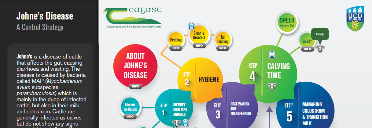 Johne's Disease - a control strategy